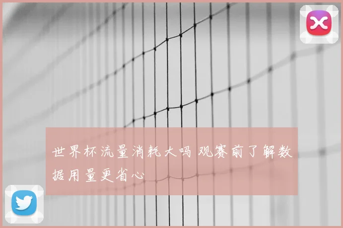 世界杯流量消耗大吗 观赛前了解数据用量更省心