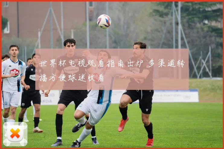 世界杯电视观看指南出炉 多渠道转播方便球迷收看
